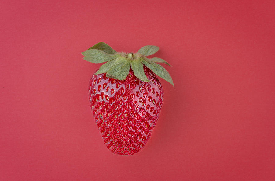 Nature Photograph -  Strawberry in red I by Paulo Goncalves