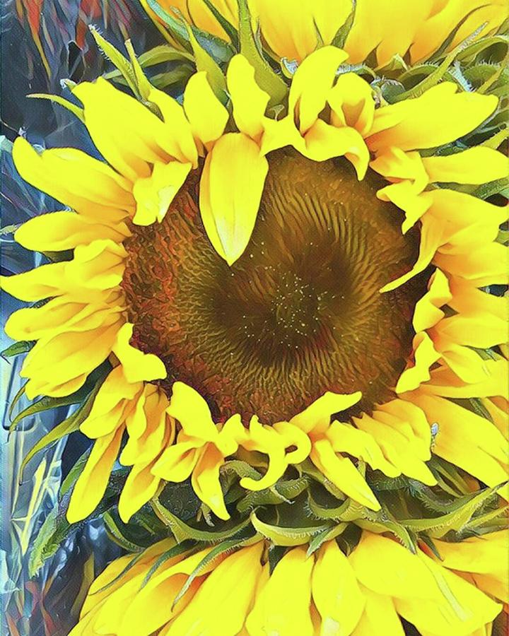 Flower Photograph - 🌻 #sunflower #flowers #flowerstagram by Kazan Durante