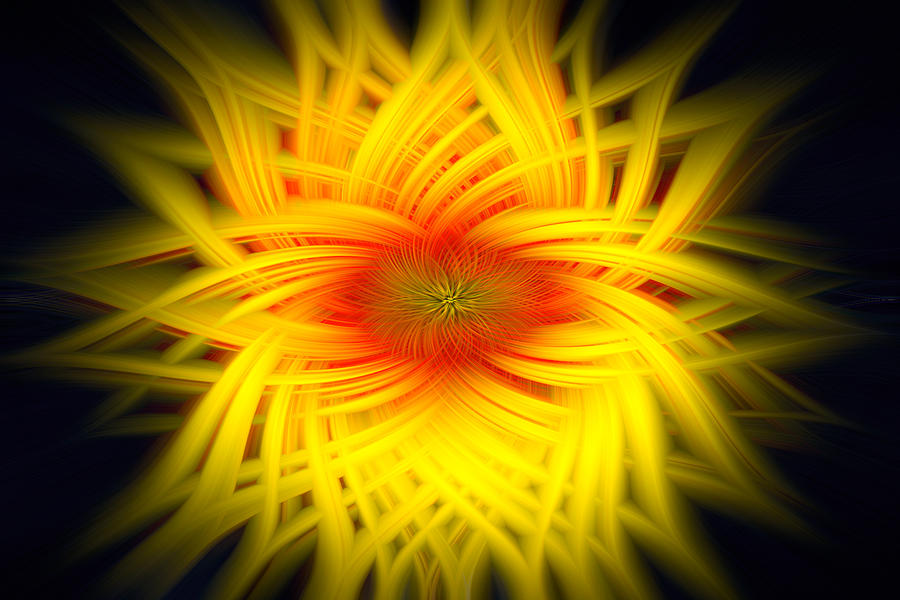  Sunflower Spiral Digital Art by Roy Pedersen