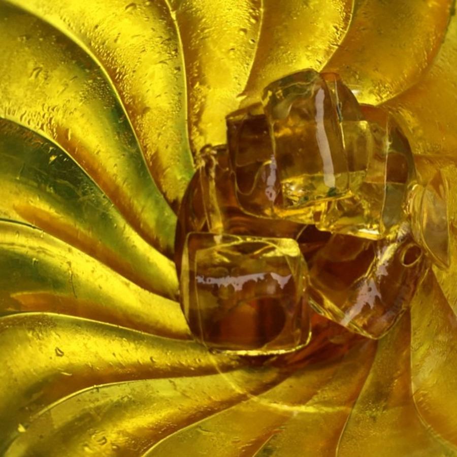 🌻 Sunflower #yellowmonday Photograph by Heidi Lyons