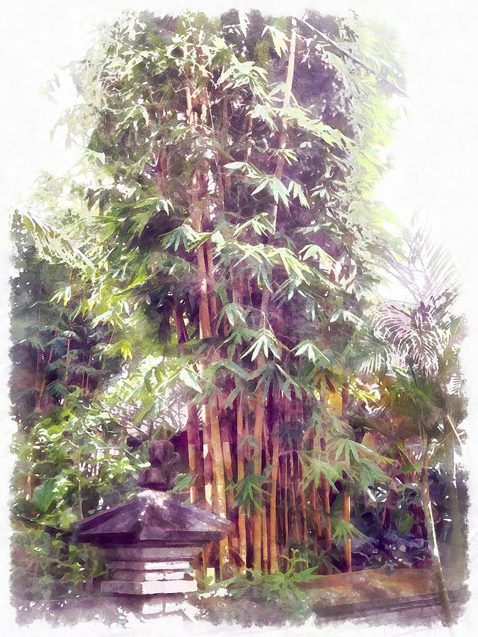  Tall bamboo plants Photograph by Ashish Agarwal