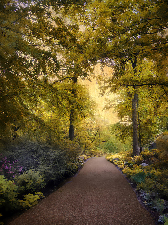  The Golden Walkway Photograph by Jessica Jenney