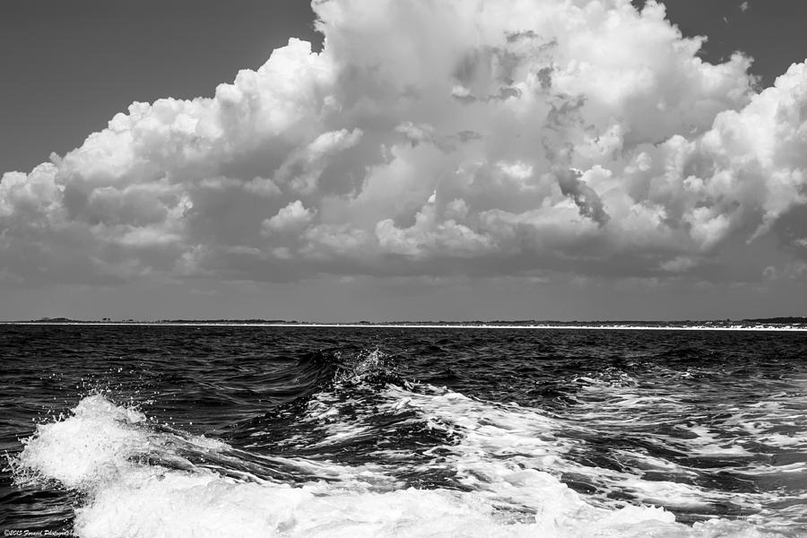  The Gulf Of Mexico BW Photograph by Debra Forand