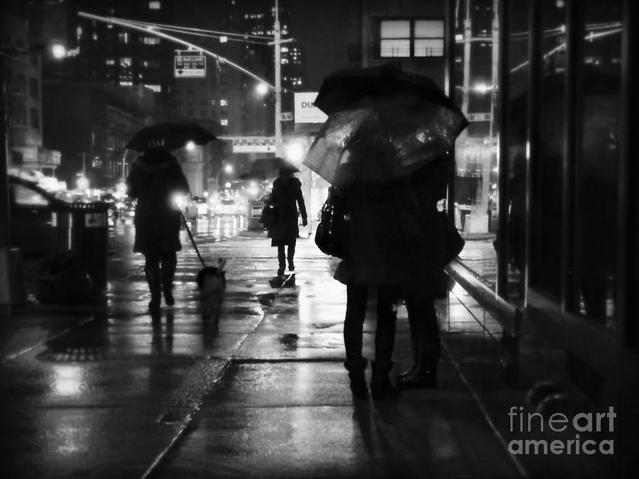  The Softness of Rain Photograph by Miriam Danar