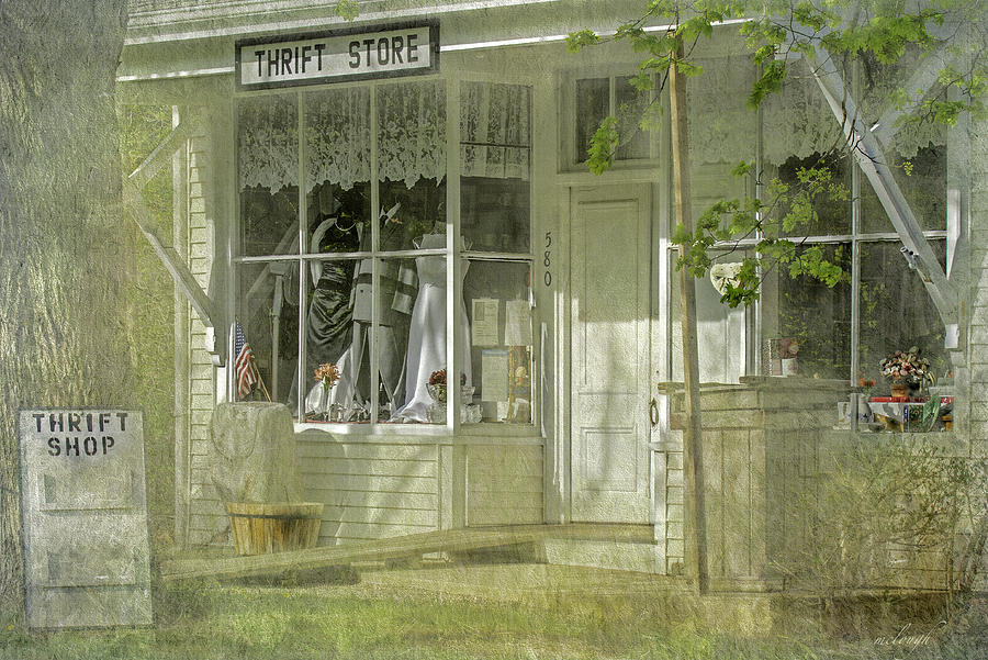  The Thrift Store Photograph by Mary Clough