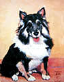 Pet Portrait Painting -  Tinker  O  Shanie by Ti  Tolpo Bader