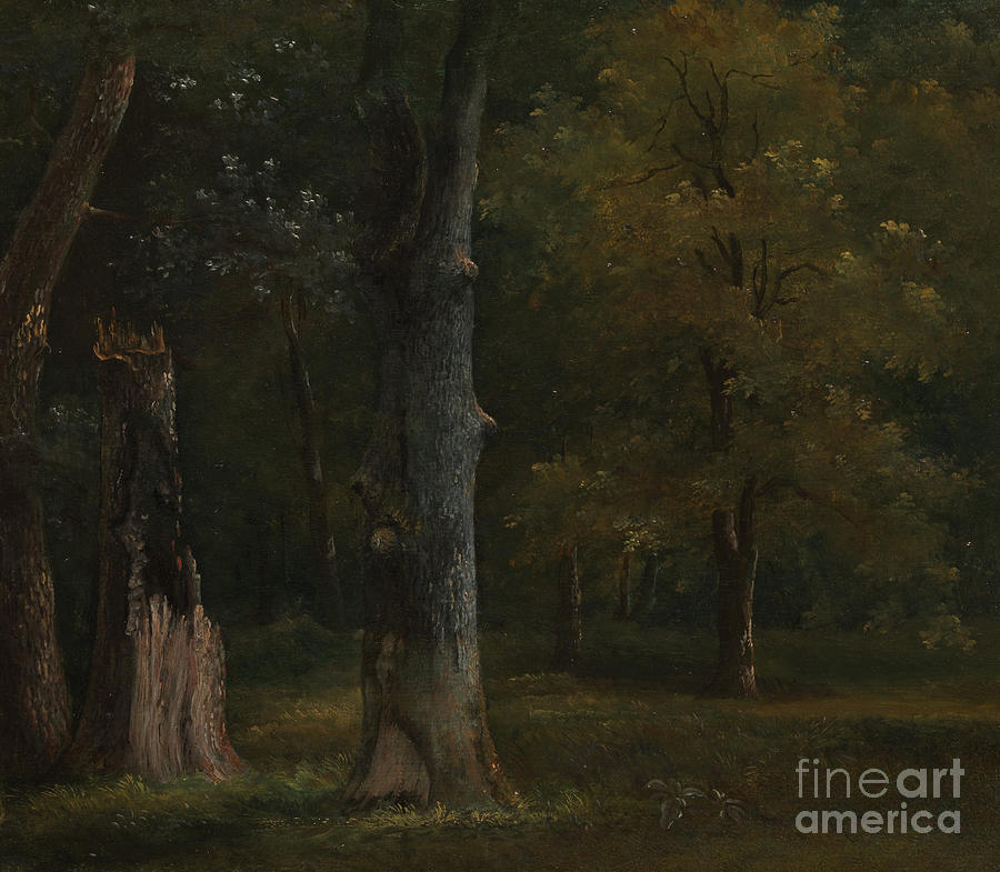 Trees In The Bois De Boulogne Painting