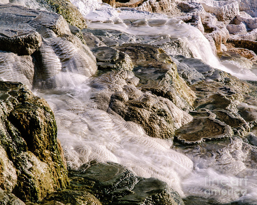 Yellowstone National Park Photograph -  Upper Terrace at Mammoth Hot Springs by Tracy Knauer