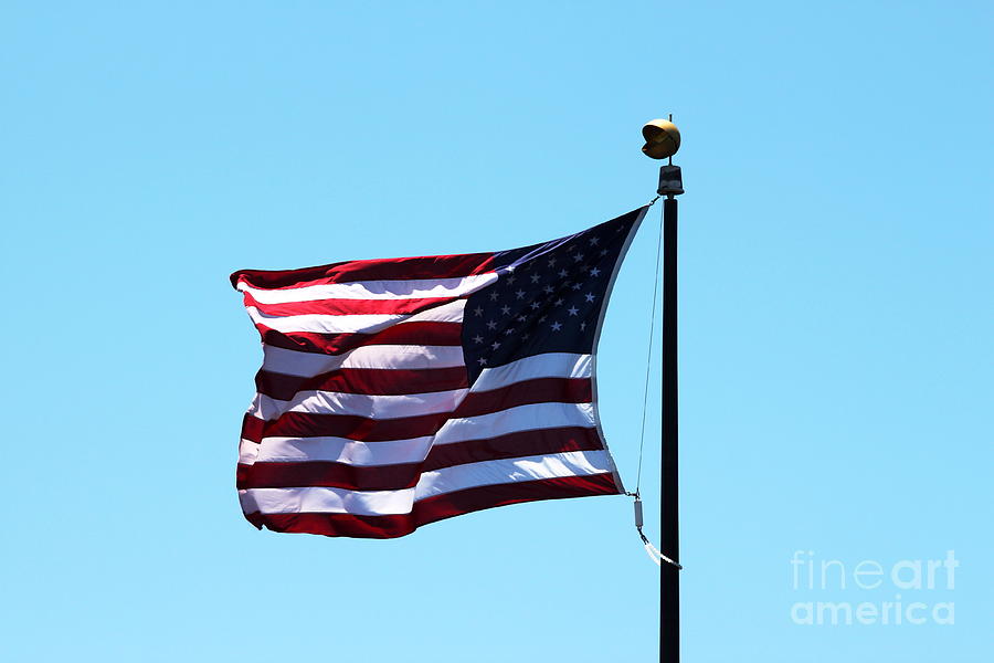  USA Flag Photograph by Henrik Lehnerer