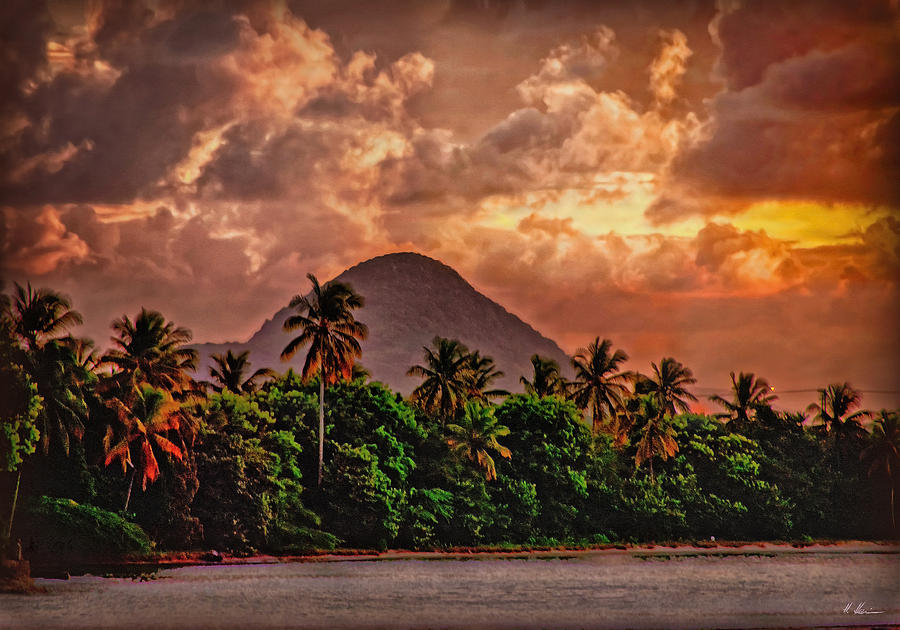  West Indian Skyline Photograph by Hanny Heim