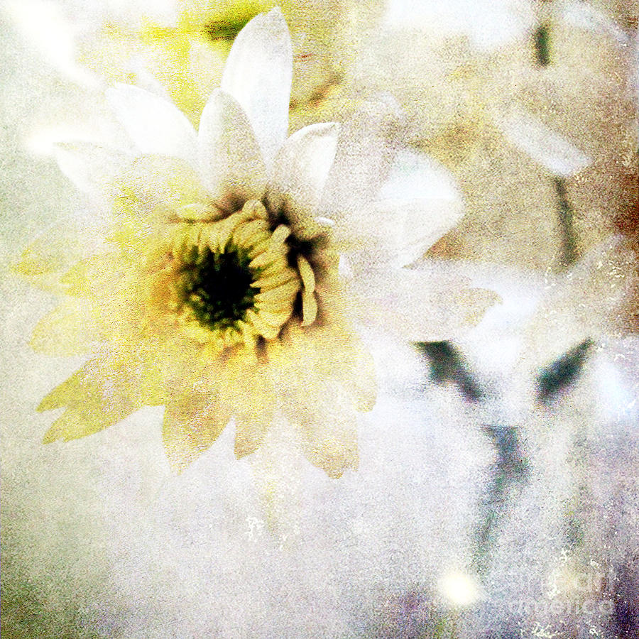 Flower Mixed Media -  White Flower by Linda Woods