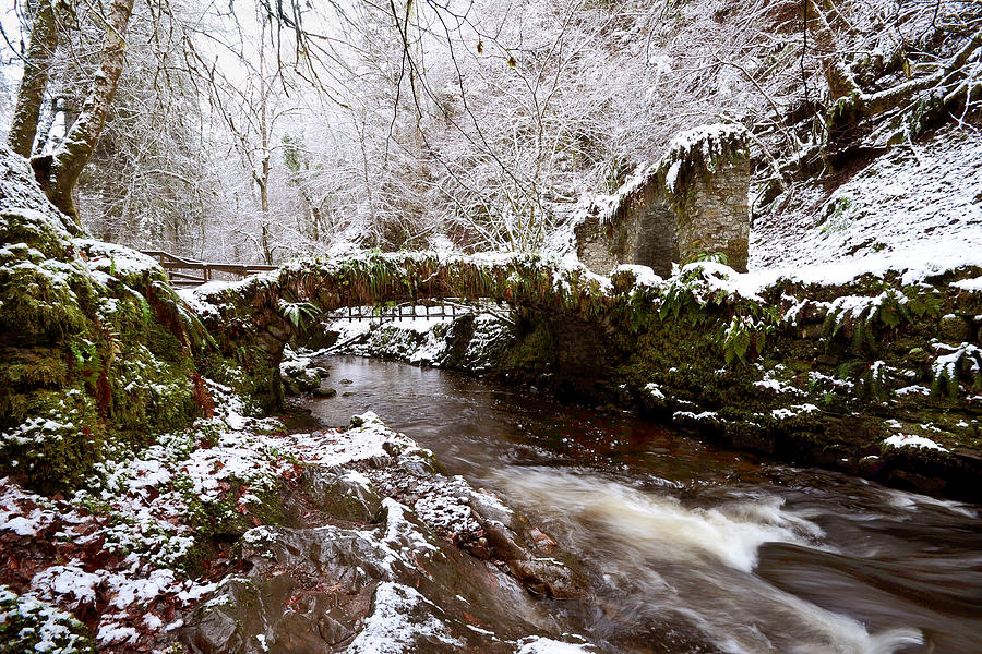 Winter at Reelig Photograph by Gavin Macrae