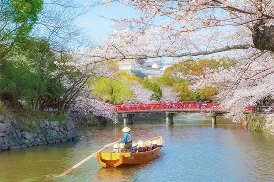 Castle Photograph - 和船 X 姫路城 / Japanes Style Boat by Tanaka Daisuke