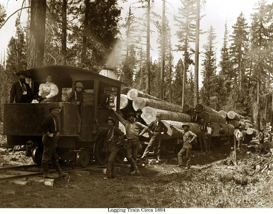 Train Photograph - 0-4-2 Logging Train 1894 by Monterey County Historical Society