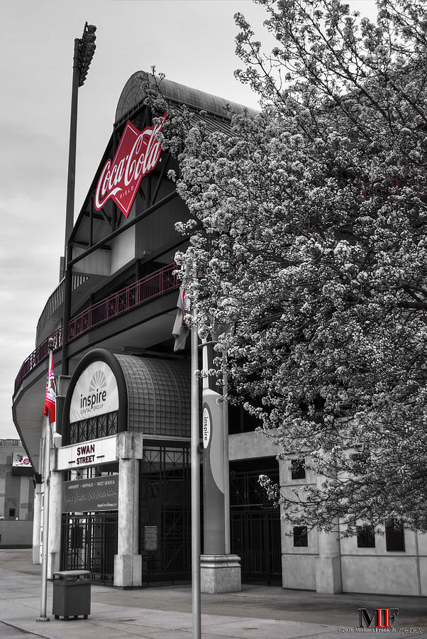 001 Coca Cola Field and Cherry Blossoms Photograph by Michael Frank Jr