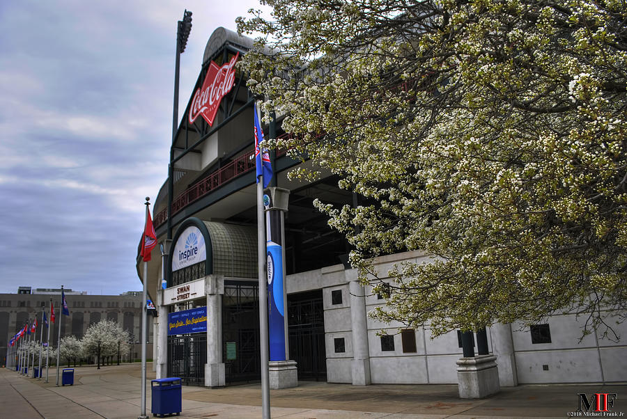002 COCA COLA FIELD n CHERRY BLOSSOMS Photograph by Michael Frank Jr