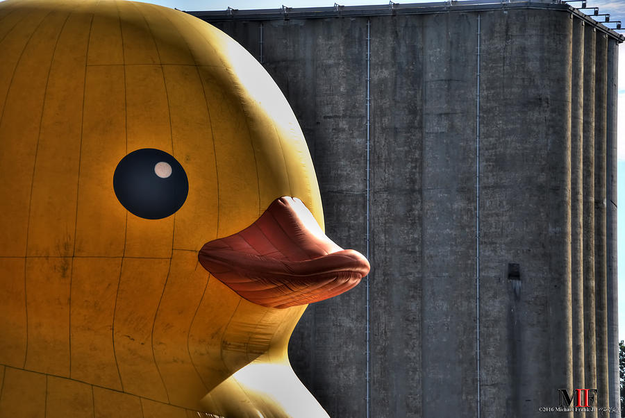 010a Worlds Largest Rubber Duck  At Canalside 2016 Photograph by Michael Frank Jr