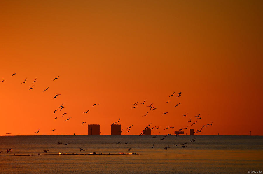 0127 Sunset Landing on Sound Photograph by Jeff at JSJ Photography