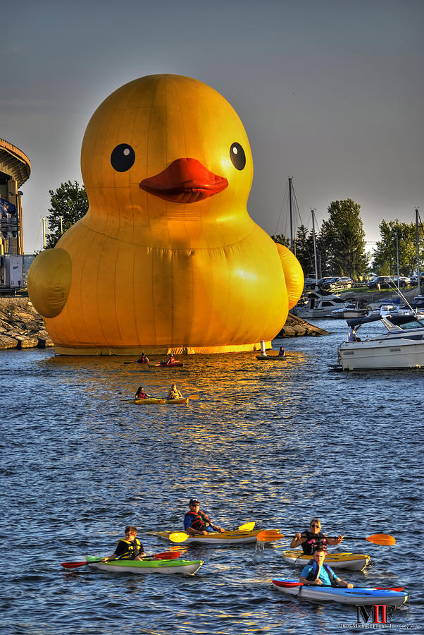 014 Worlds Largest Rubber Duck  At Canalside 2016 Photograph by Michael Frank Jr