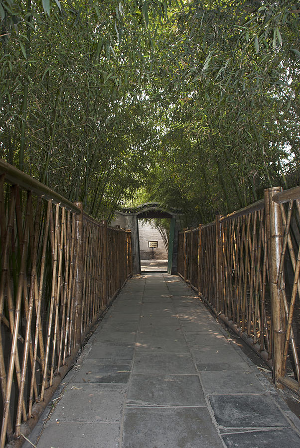 Asia Photograph - 0171- Bamboo Walkway by David Lange