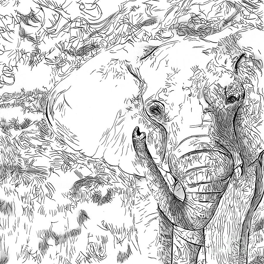 02 of 30 Elephant Drawing by Denise Deiloh