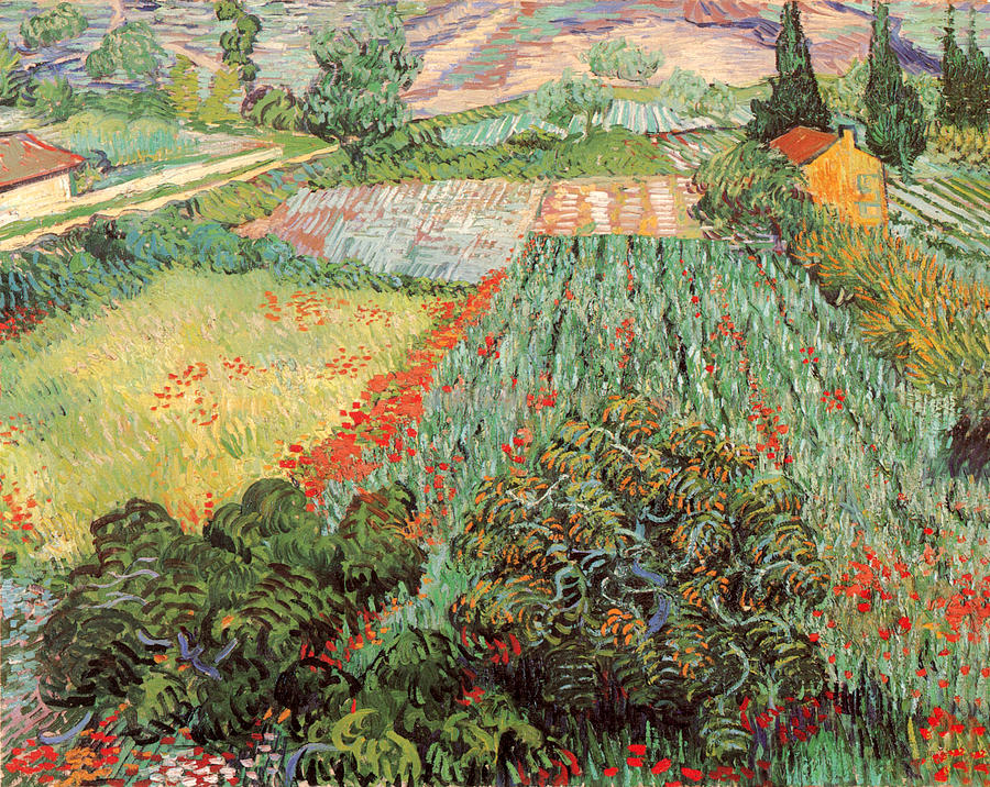 Vincent Van Gogh Painting - Field with Poppies #3 by Vincent Van Gogh