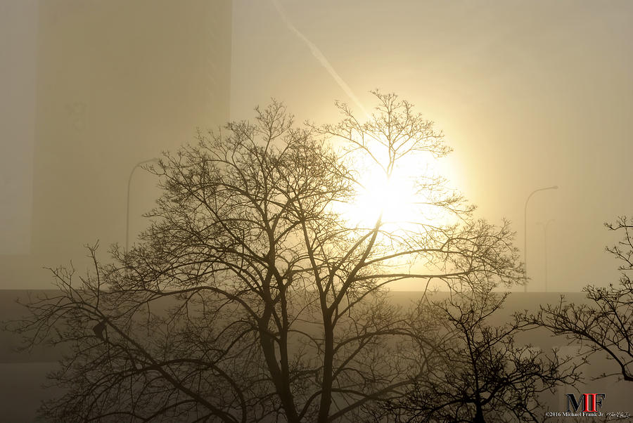 04 Foggy Sunday Sunrise Photograph by Michael Frank Jr