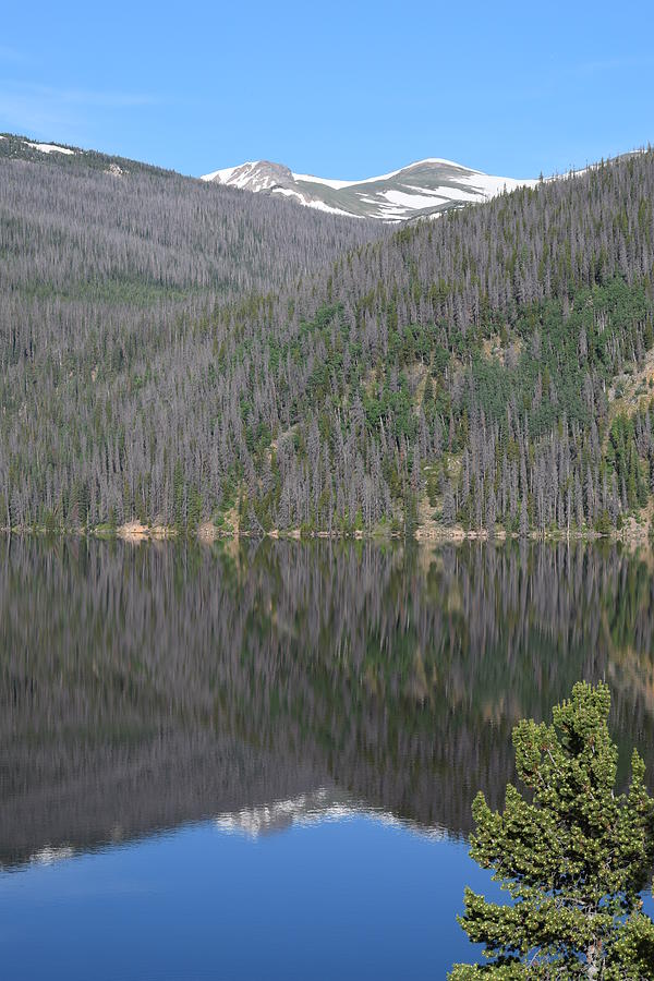 Chambers Lake Reflection Hwy 14 CO Photograph by Margarethe Binkley