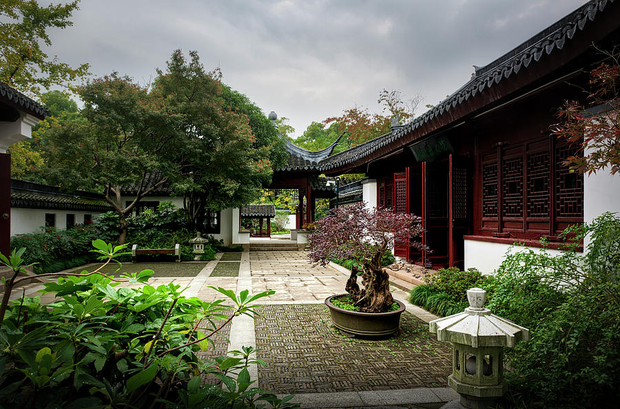 0745- Shanghai Botanical Gardens Photograph