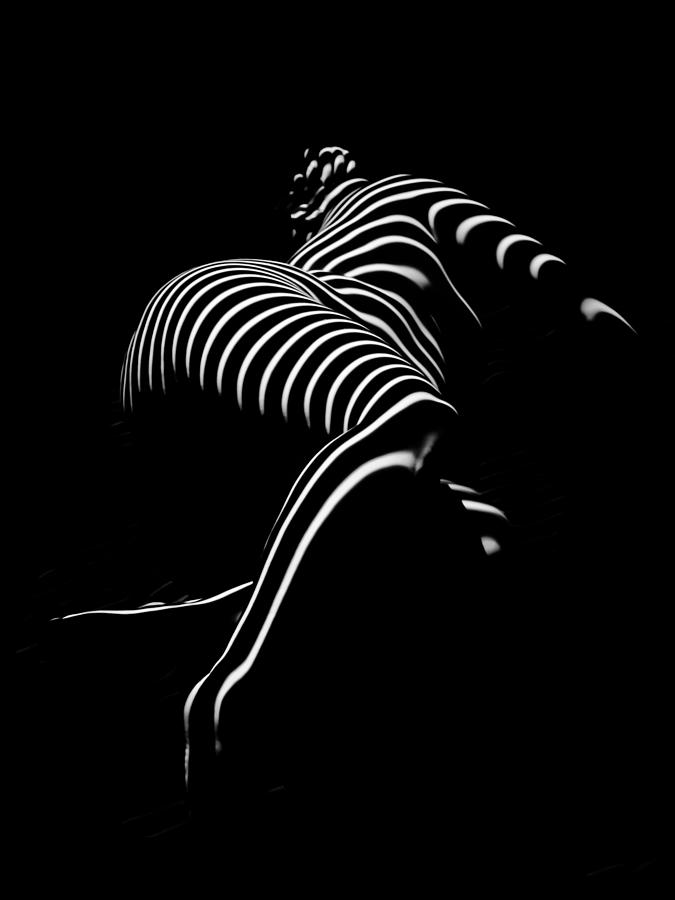 0773-AR Striped Zebra Woman Side View Abstract Black and White Photograph by Chris Maher Photograph by Chris Maher