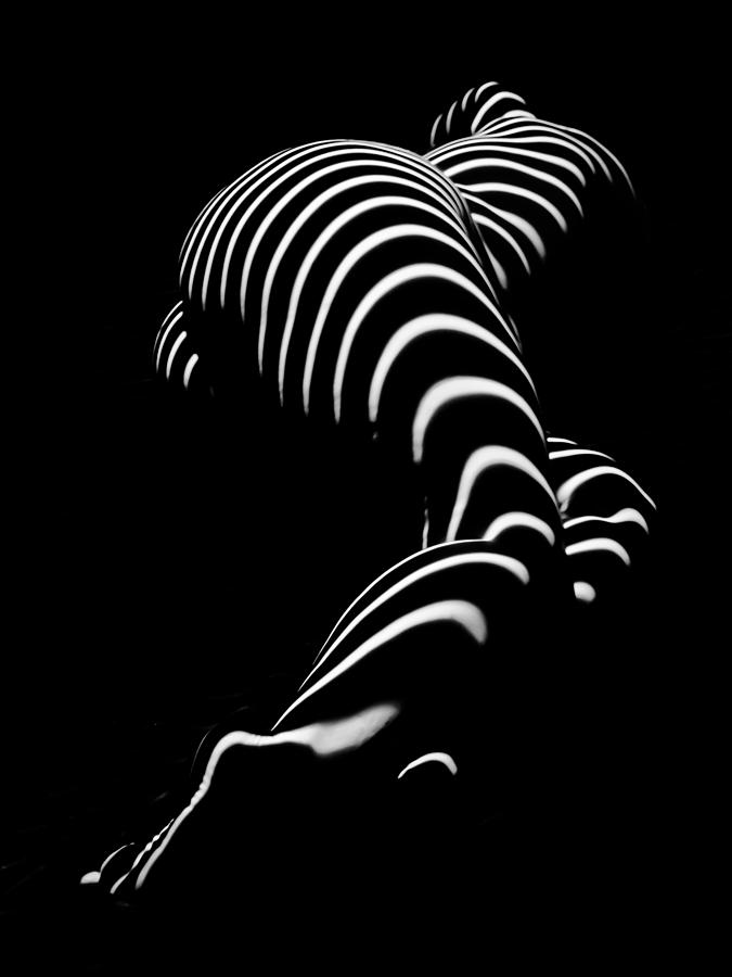 0774-AR Zebra Striped Figure of a Large Woman Fine Art Photograph by Chris Maher Photograph by Chris Maher