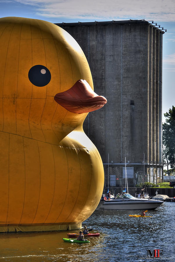 09a Worlds Largest Rubber Duck  At Canalside 2016 Photograph by Michael Frank Jr