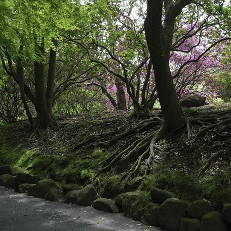 Spring Photograph - #日本 #japan #神奈川 #kanagawa #1 by Masashi Matsuno