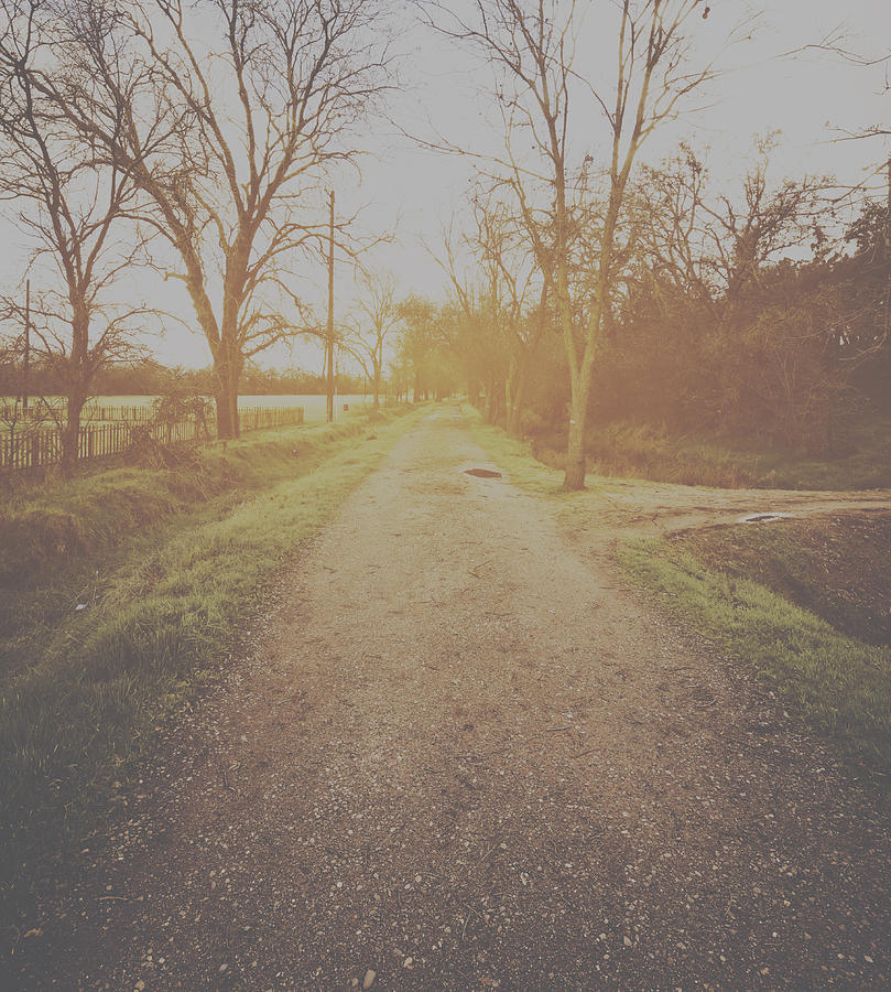  Nature Background with Vintage Style Filter #1 Photograph by Brandon Bourdages