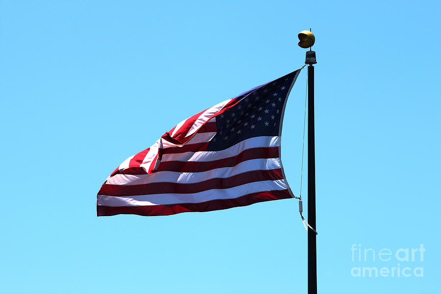  USA Flag #1 Photograph by Henrik Lehnerer