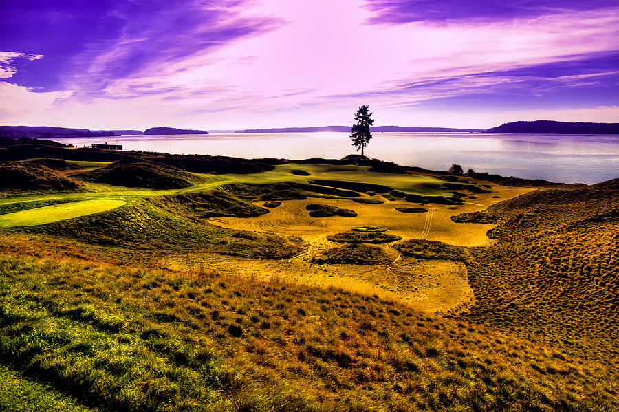 #15 at Chambers Bay Golf Course #1 Photograph by David Patterson