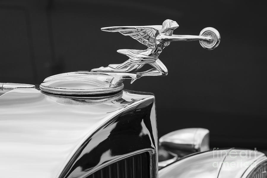 1934 Packard #2 Photograph by Dennis Hedberg