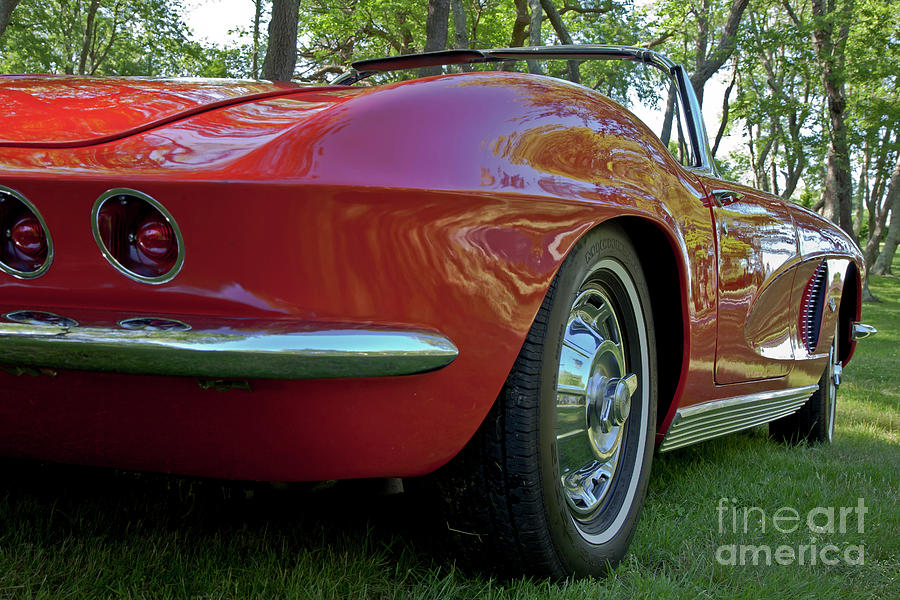 1962 Corvette Photograph by Butch Lombardi