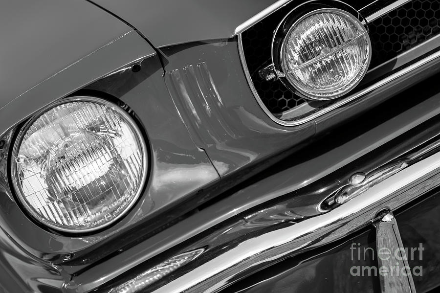 1965 Mustang Photograph by Dennis Hedberg