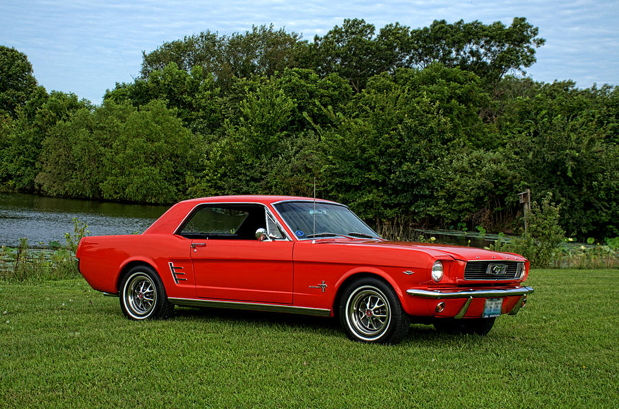 1966 Mustang Photograph by Tim McCullough