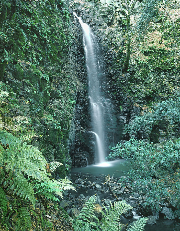 1B6351 Diamond A Waterfall #2 Photograph by Ed Cooper Photography