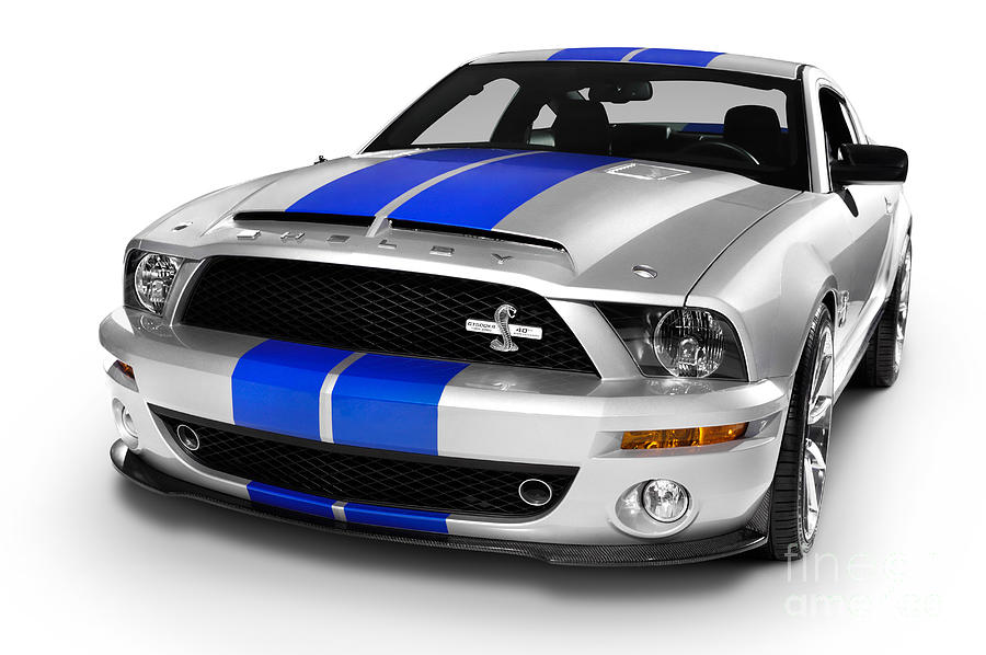 Cobra Photograph - 2008 Shelby Ford GT500KR by Maxim Images Exquisite Prints
