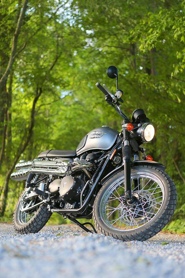 Triumph Photograph - 2013 Triumph Scrambler by Keith May Triumph Photograph - 2013 Triumph Scrambler by Keith May