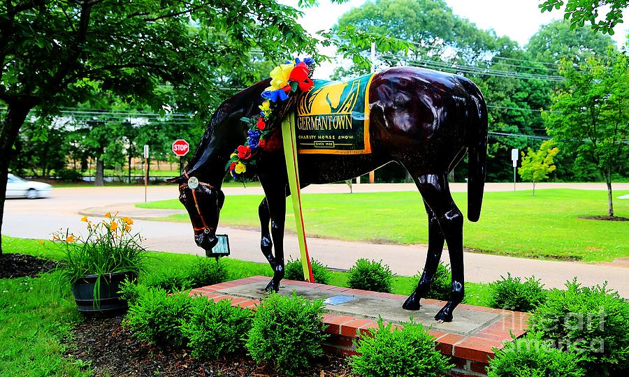 2015 Germantown Charity Horse Show in Germantown TN Photograph by Billy