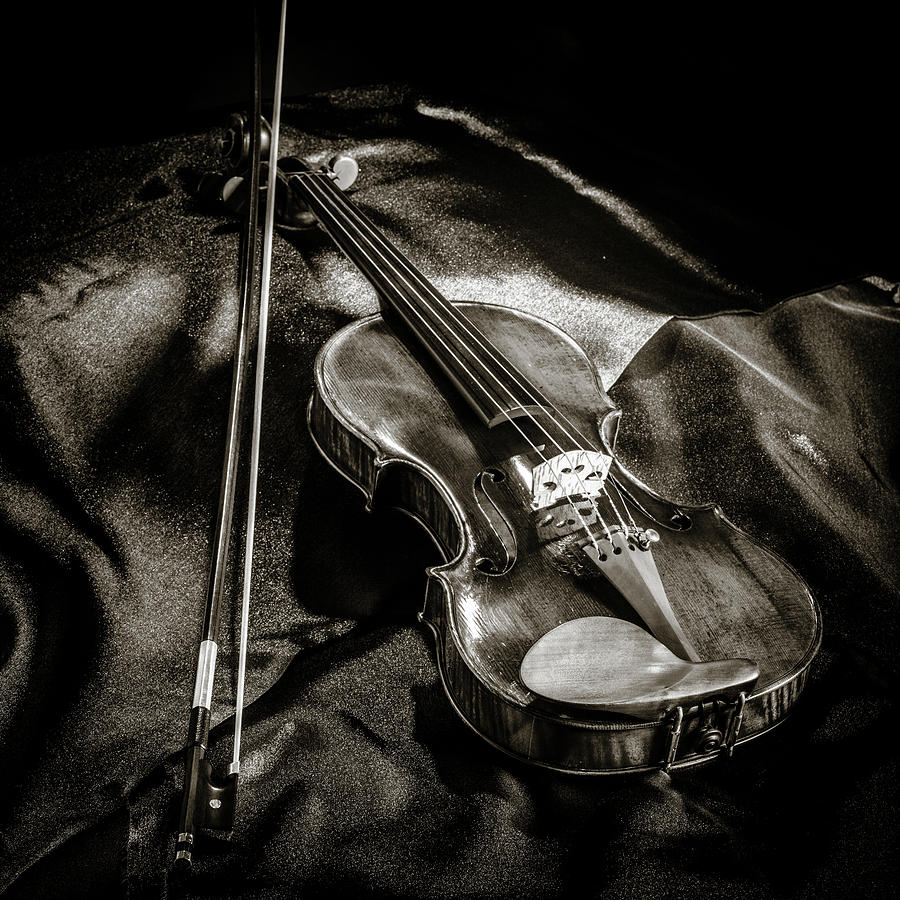 202 .1841 Violin by Jean Baptiste Vuillaume BW #1 Photograph by M K Miller