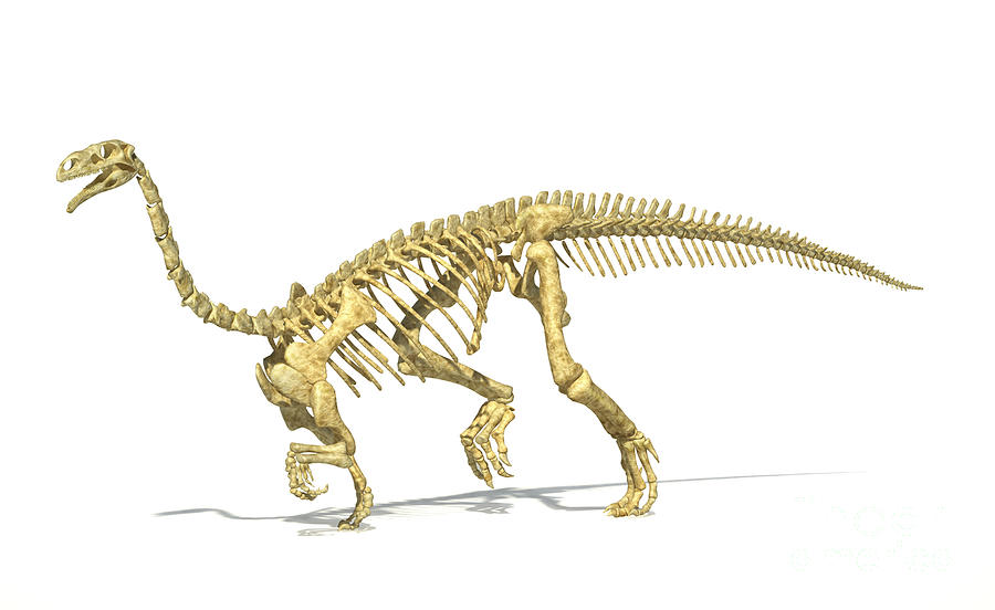 3d Rendering Of A Plateosaurus Dinosaur #1 Digital Art by Leonello Calvetti