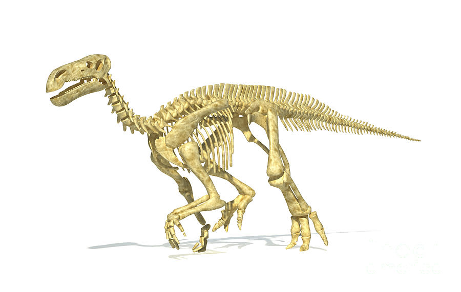 3d Rendering Of An Iguanodon Dinosaur #1 Digital Art by Leonello Calvetti
