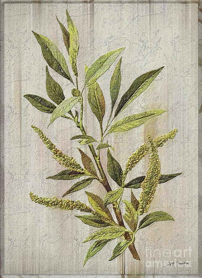 3D Wild Flower Painting by Heinz G Mielke 3D Wild Flower Painting by Heinz G Mielke