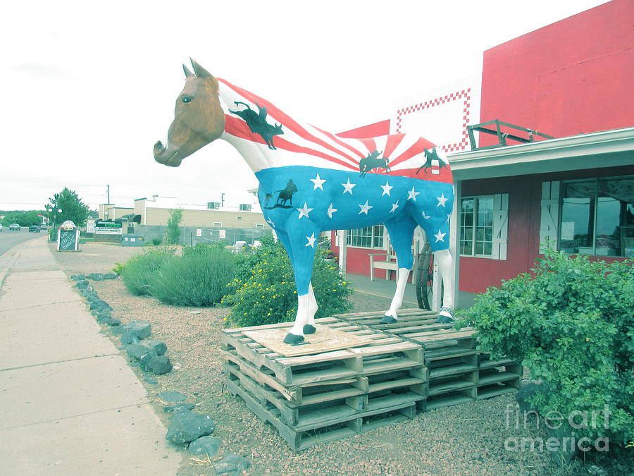 4th Of July Horse Photograph