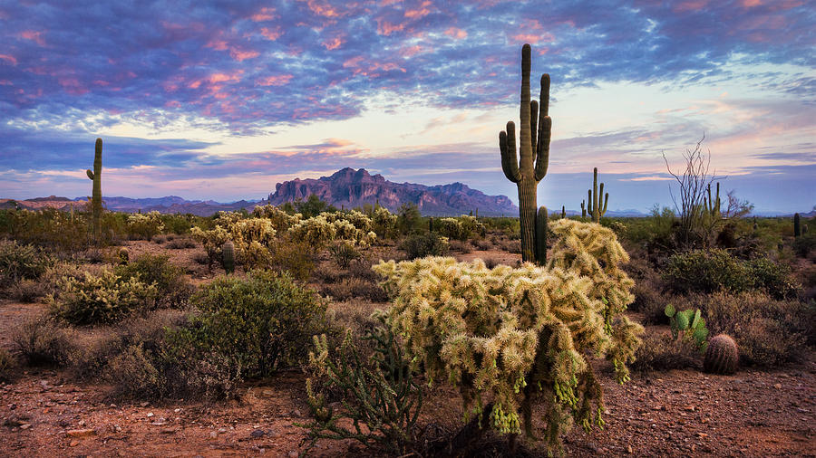 A Beautiful Desert Evening Photograph by Saija Lehtonen